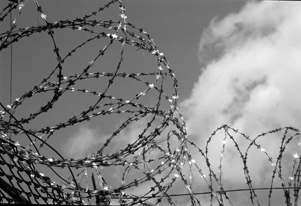 Довлатов – как понять душу писателя через бокс