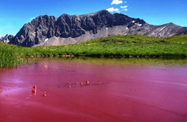 Вы никогда не поверите откуда это фото… Алтайский край Россия - Hi-News.ru