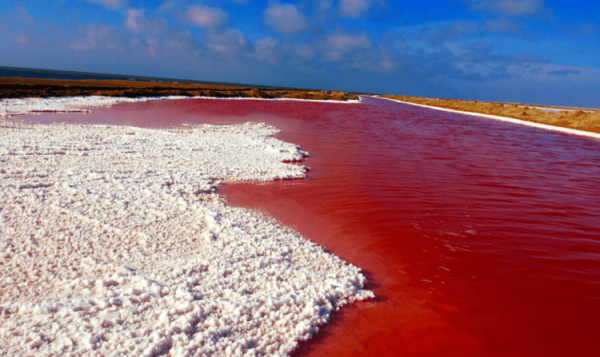 Вы никогда не поверите откуда это фото… Алтайский край Россия - Hi-News.ru