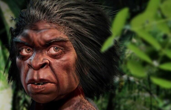 В Индонезии жили «хоббиты» ростом около 100 сантиметров: ученые находят все больше скелетов - Hi-News.ru
