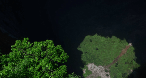 “Райские ямы”: пещеры, в которых растут древние леса - Hi-News.ru