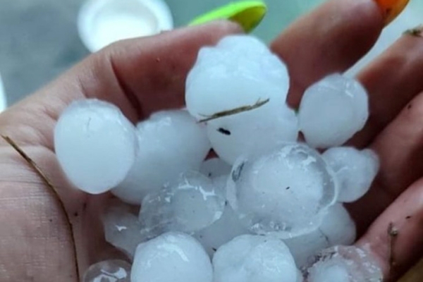 Град размером с абрикос побил окна и огороды в Чулымском районе