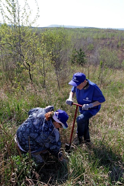КуйбышевАзот высадил 20 тысяч саженцев в тольяттинском лесу