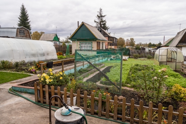 Срочно копать картошку в августе-2024 призвал новосибирцев агроном Мармулев