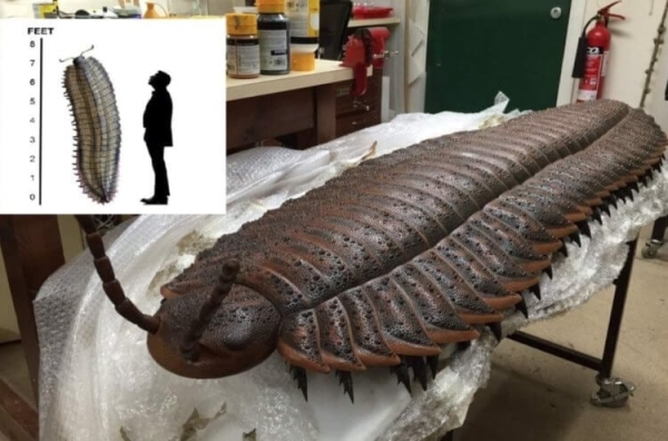 Почему 300 миллионов лет назад на Земле жили гигантские насекомые - Hi-News.ru