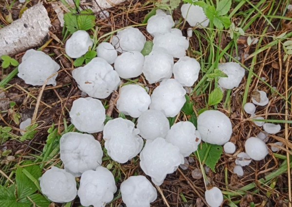 Град с куриное яйцо побил машины и огороды в Новосибирской области