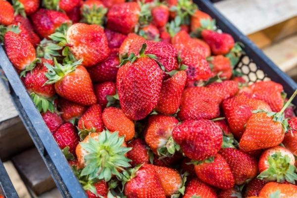 Казахстанская клубника стала киргизской на рынках Новосибирска в мае-2024