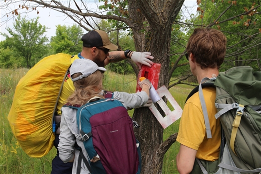 "Пешая тропа — лицо Самарской области": как маркируют пешеходный маршрут вдоль Самарской Луки