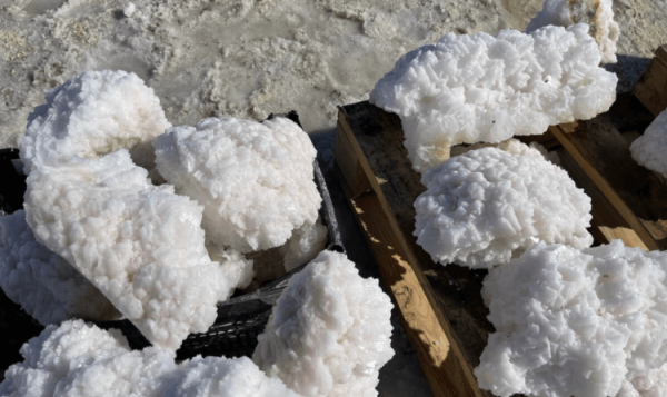 Вы никогда не поверите откуда это фото… Алтайский край Россия - Hi-News.ru