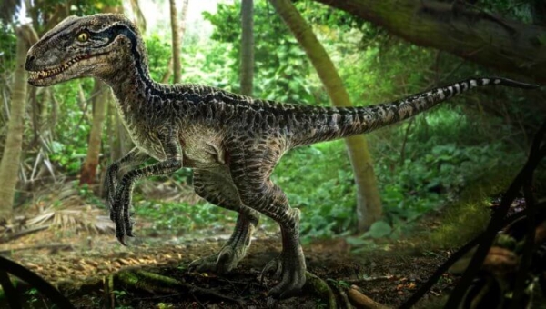 Самые быстрые динозавры за всю историю Земли - Hi-News.ru
