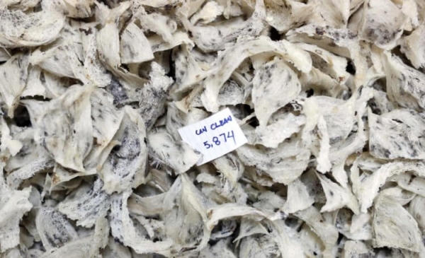 5 самых тяжелых работ, на которых люди гробят здоровье за копейки - Hi-News.ru