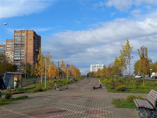 Грязные скамьи и сломанные деревья: аллея на ул. Ташкентской спустя шесть лет после реконструкции