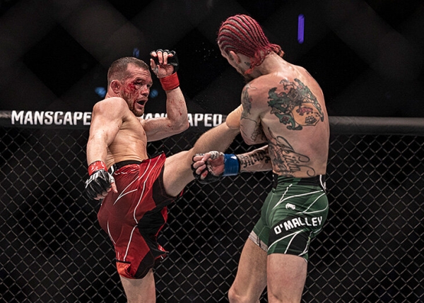 «Мне жаль Яна, его обокрали дважды подряд»: Петр проиграл хайповому О’Мэлли, и это – грандиозный судейский произвол