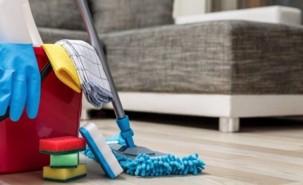 Какие виды пауков живут в квартирах России: вы их точно видели - Hi-News.ru