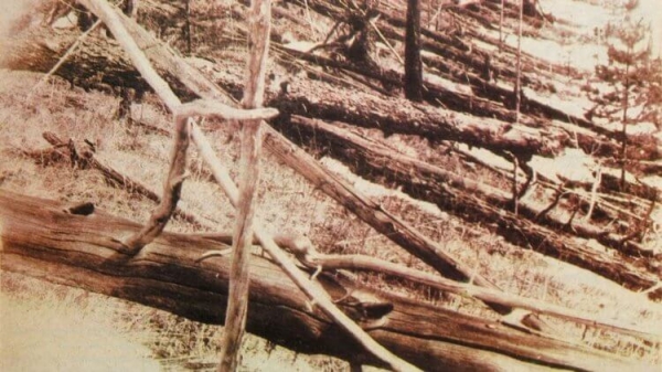 Тунгусское событие произошло не из-за метеорита, а черной дыры? - Hi-News.ru