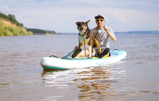 Под Тольятти прошел кинологический лагерь