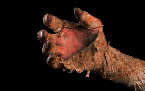 Тело мужчины мумифицировалось за 2 недели само по себе — как такое возможно? - Hi-News.ru