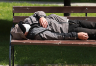 Секреты идеального дачного компоста раскрыл агрохимик Мармулев