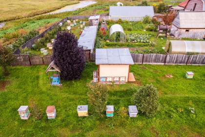 Поля картошки и подсолнечника пострадали от заморозков под Новосибирском