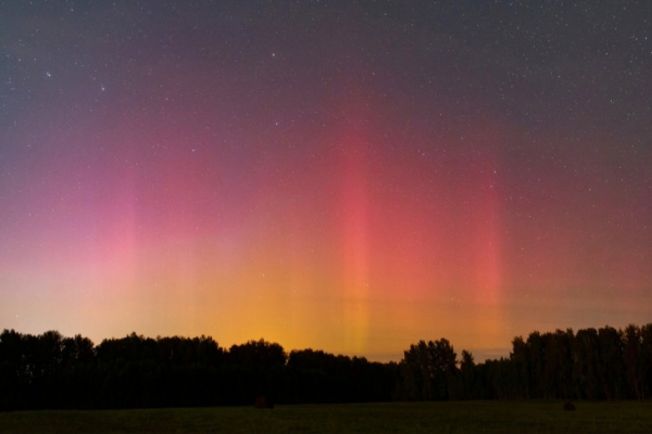 Астрофизик Димов предупредил о новом северном сиянии в Новосибирске