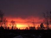 Сколько оливье и селедки под шубой можно съесть на Новый год, рассказала диетолог