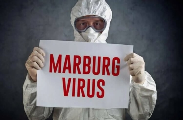 Вирус Марбург: что известно о болезни, которая может стать причиной новой эпидемии? - Hi-News.ru