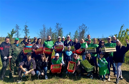 В Тольятти при участии ГК "Эковоз" высадили 2000 саженцев сосны