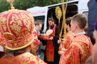 О невозможности остановить вырубку в «Березовой роще» заявили в мэрии Новосибирска