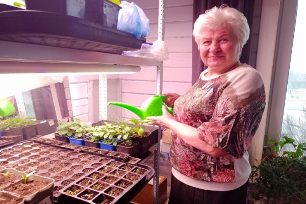 Когда и как пикировать рассаду перцев, рассказал агроном Мармулев