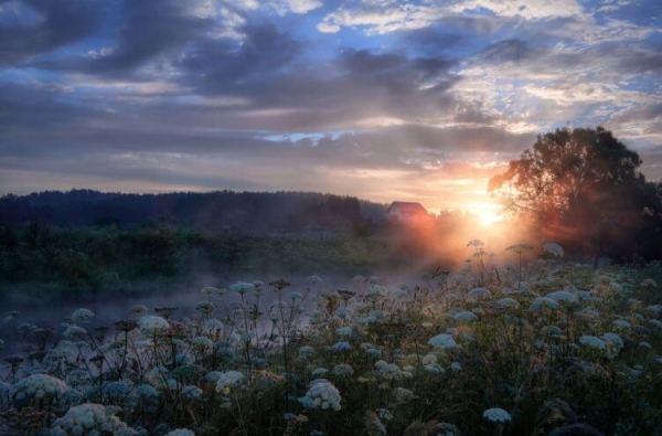 Парад планет 2024 года: как увидеть уникальное астрономическое явление - Hi-News.ru