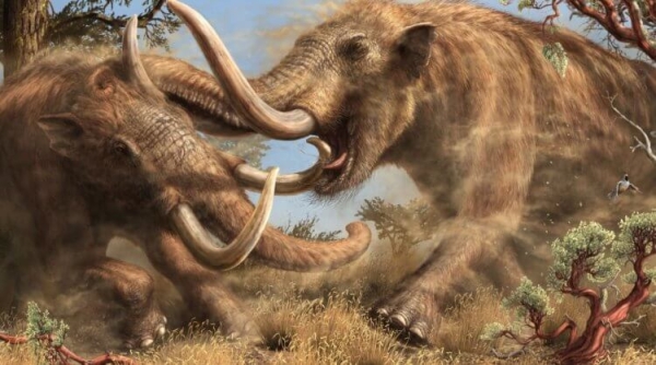 Кто такие мастодонты и чем они отличаются от мамонтов - Hi-News.ru