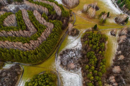 Появление ползающих в снегу пауков объяснил биолог Яновский