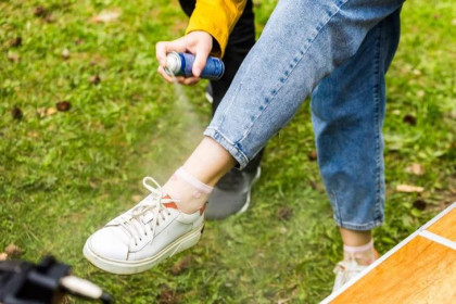 О клещах с лихорадкой предупредили уезжающих на Юг жителей Новосибирска