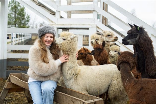 Волшебное время: чем заняться в Новый год в Самарской области?
