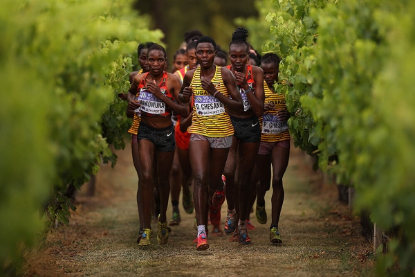 Вся красота 2023-го: тот самый Грилиш, явление Месси народу, Максим Горький на дне йоги