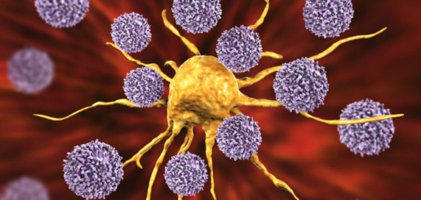 Употребление алкоголя связали с шестью видами рака - Hi-News.ru