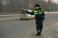 Мертвую косулю выбросило на берег Обского моря в Новосибирске