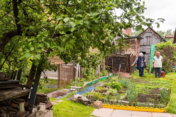 Срочно обработать грядки от фитофторы призвал новосибирцев овощевод Овечкин