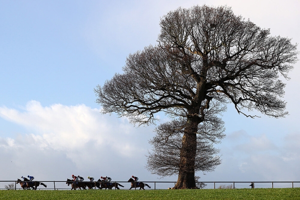 Вся красота 2023-го: тот самый Грилиш, явление Месси народу, Максим Горький на дне йоги
