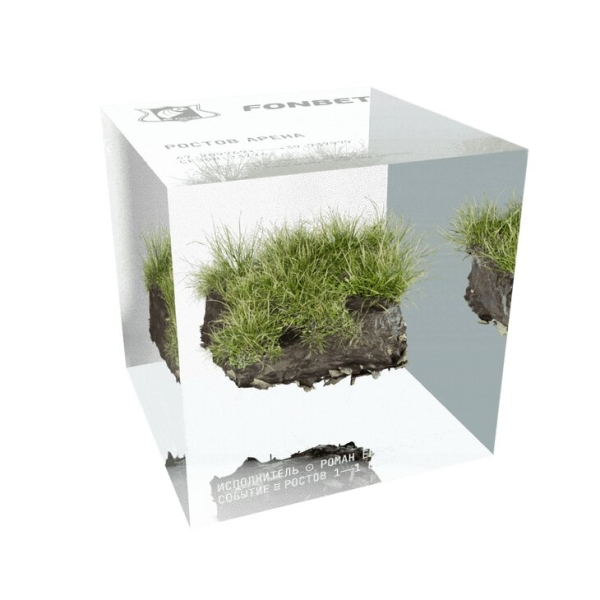 Креативный сувенир «Ростова» для фанатов: разыгрывают 60 кусочков старого газона. Символично!