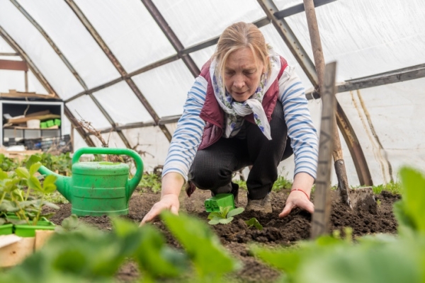 Секреты идеального дачного компоста раскрыл агрохимик Мармулев