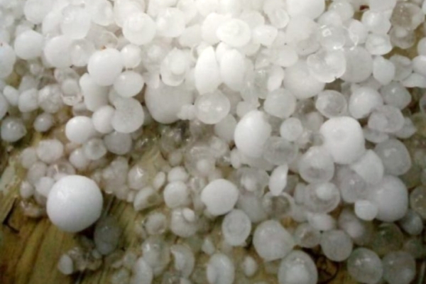 Град размером с абрикос побил окна и огороды в Чулымском районе