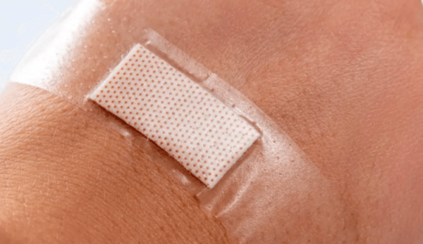 Пластырь из глистов: ученые нашли способ заживлять раны без шрамов - Hi-News.ru