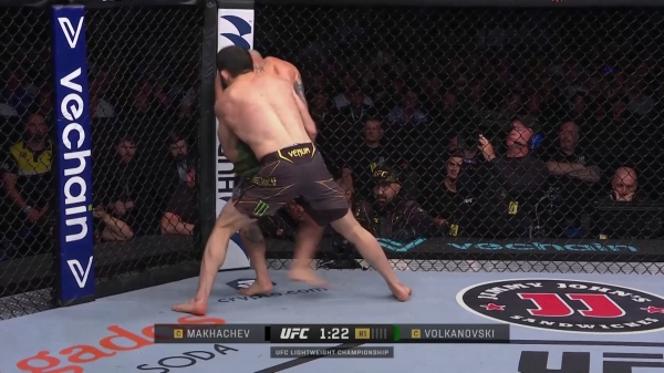 Семь причин, почему первый бой Махачева и Волкановски получился таким близким