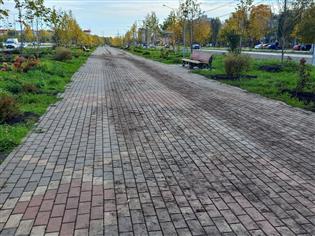 Грязные скамьи и сломанные деревья: аллея на ул. Ташкентской спустя шесть лет после реконструкции