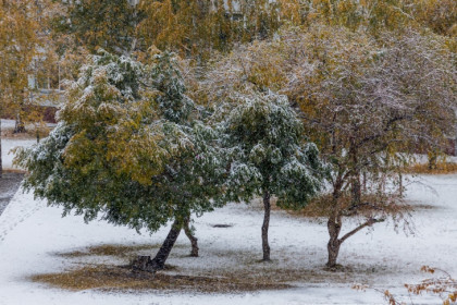 Когда включат отопление в Новосибирске &mdash; изучаем статистику и прогнозы