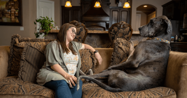 Почему крупные собаки живут меньше чем мелкие - Hi-News.ru