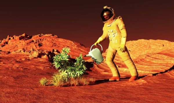 В будущем космическое пиво будет дороже земного: оно намного вкуснее - Hi-News.ru