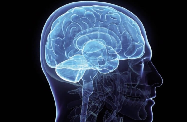 Почему невозможно задохнуться, просто удержав дыхание - Hi-News.ru