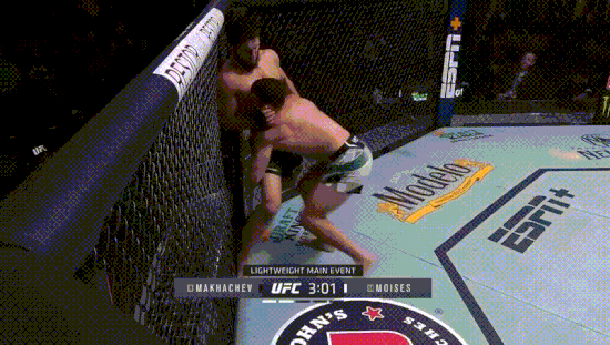 Махачев победил Волкановски! Его суперспособности – лучшая борьба в UFC, недооцененная стойка и комбо из приемов